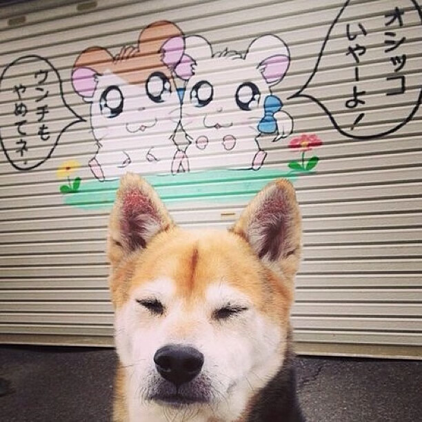 全国青少年“创新篮球”大赛在成都火热进行，科技与运动融合新体验