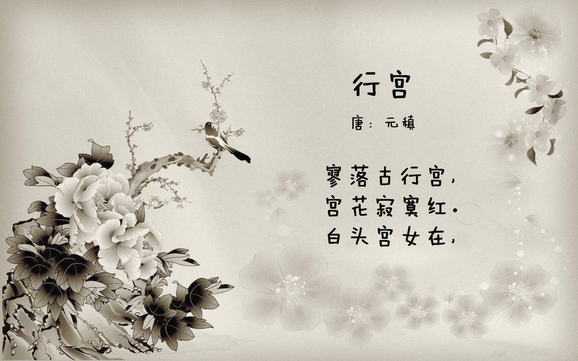 战术背后：教练谋略的深度解读，教练技术精髓