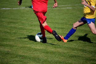 男篮国家队专项安排外线射手训练增强火力输出，男篮外援